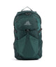 Gregory Juno 24 RC Zaino montagna emerald green