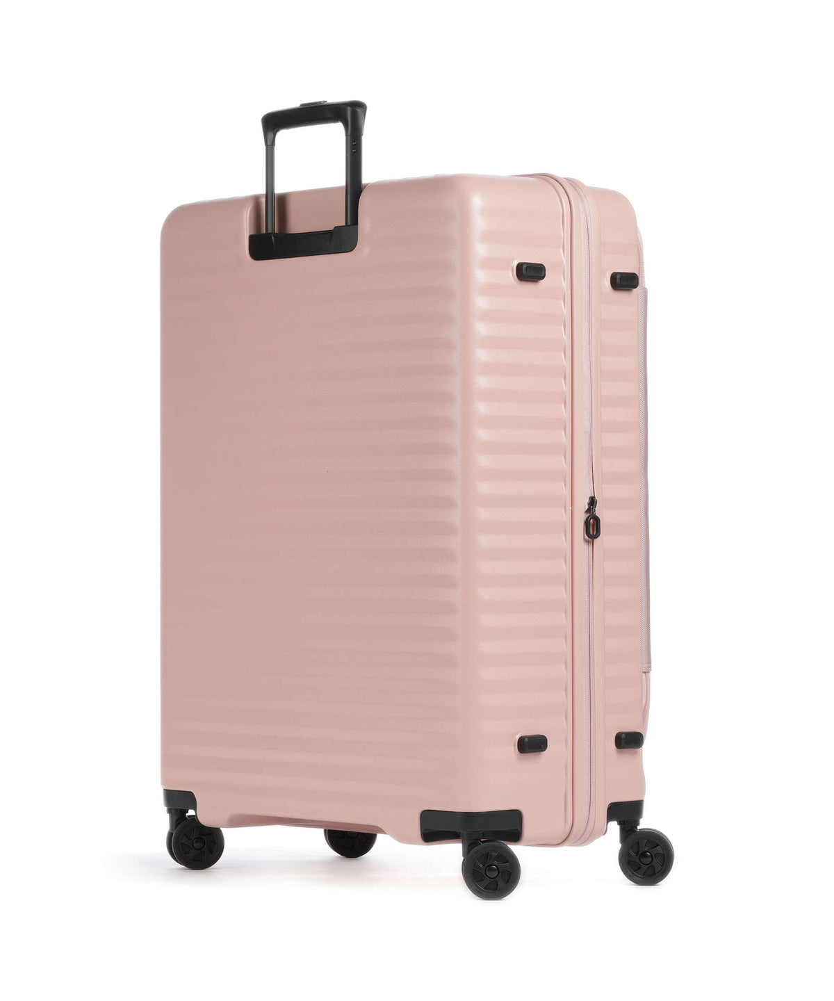 Echolac Celestra FA L Spinner (4 wheels) pink