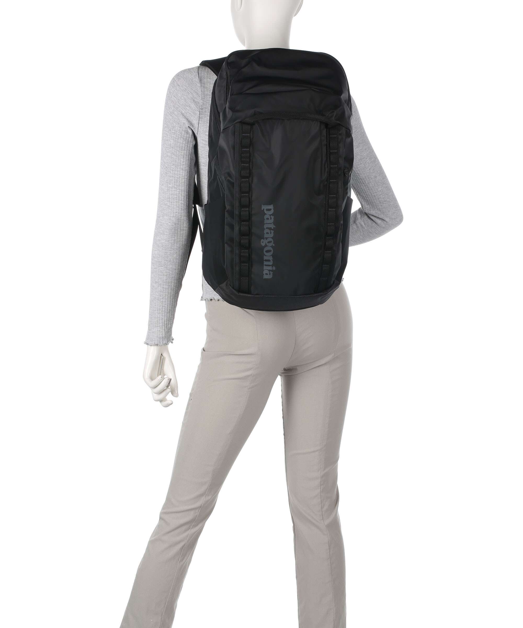 Patagonia Black Hole 32 Backpack birch white