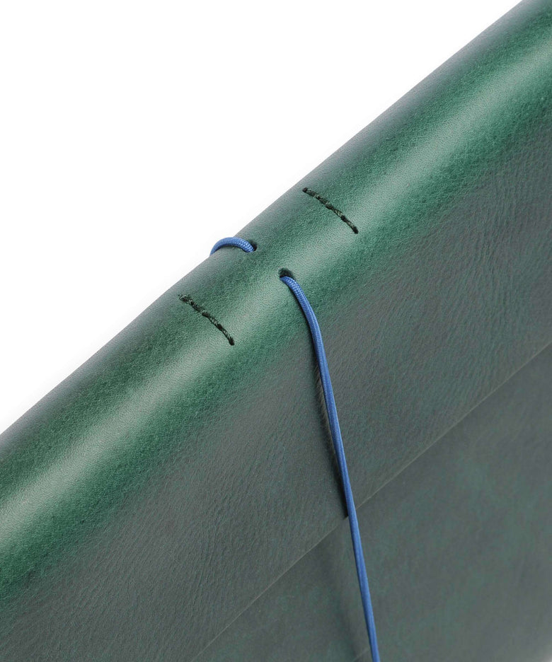 Harold's Keeper Laptop case gruen