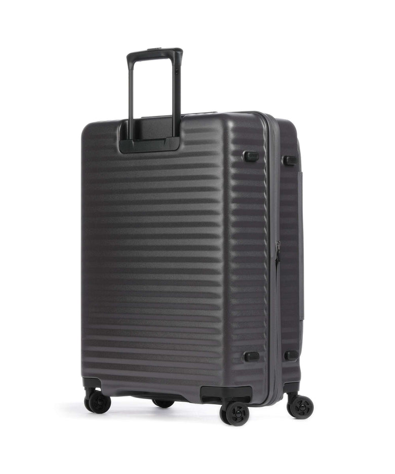 Echolac Celestra FA M Spinner (4 wheels) dark grey