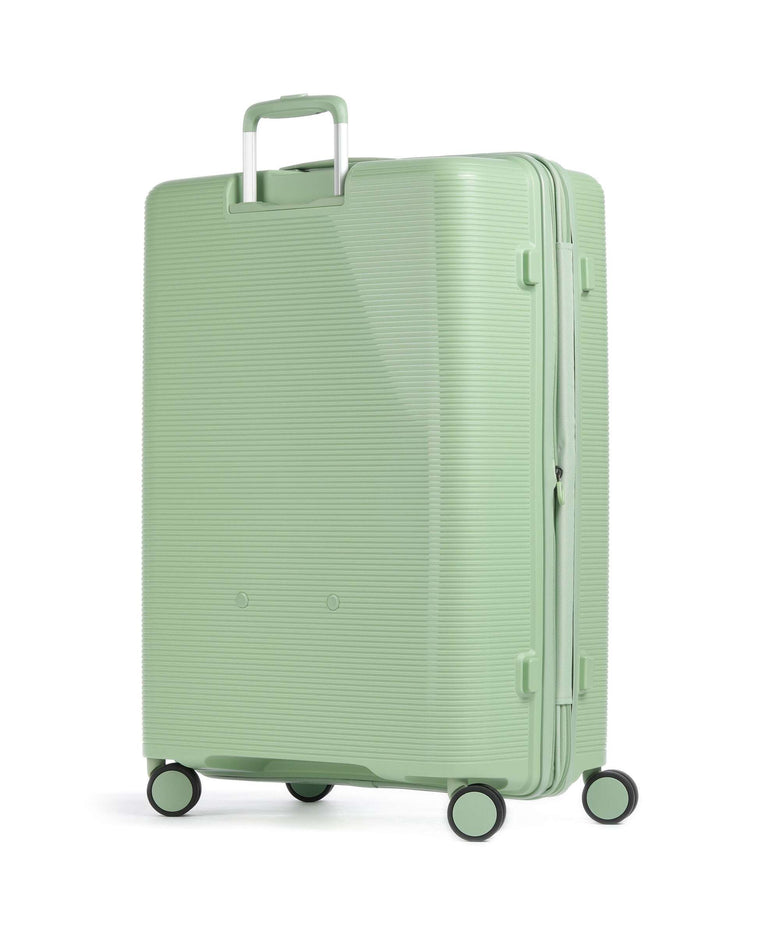 Echolac Forza L Spinner (4 wheels) reef green