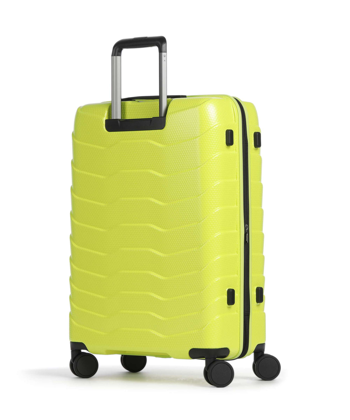Echolac EXO M Spinner (4 wheels) cyber lime