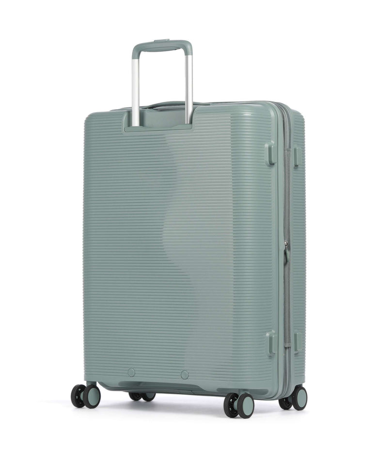 Echolac Forza M Spinner (4 wheels) sage leaf