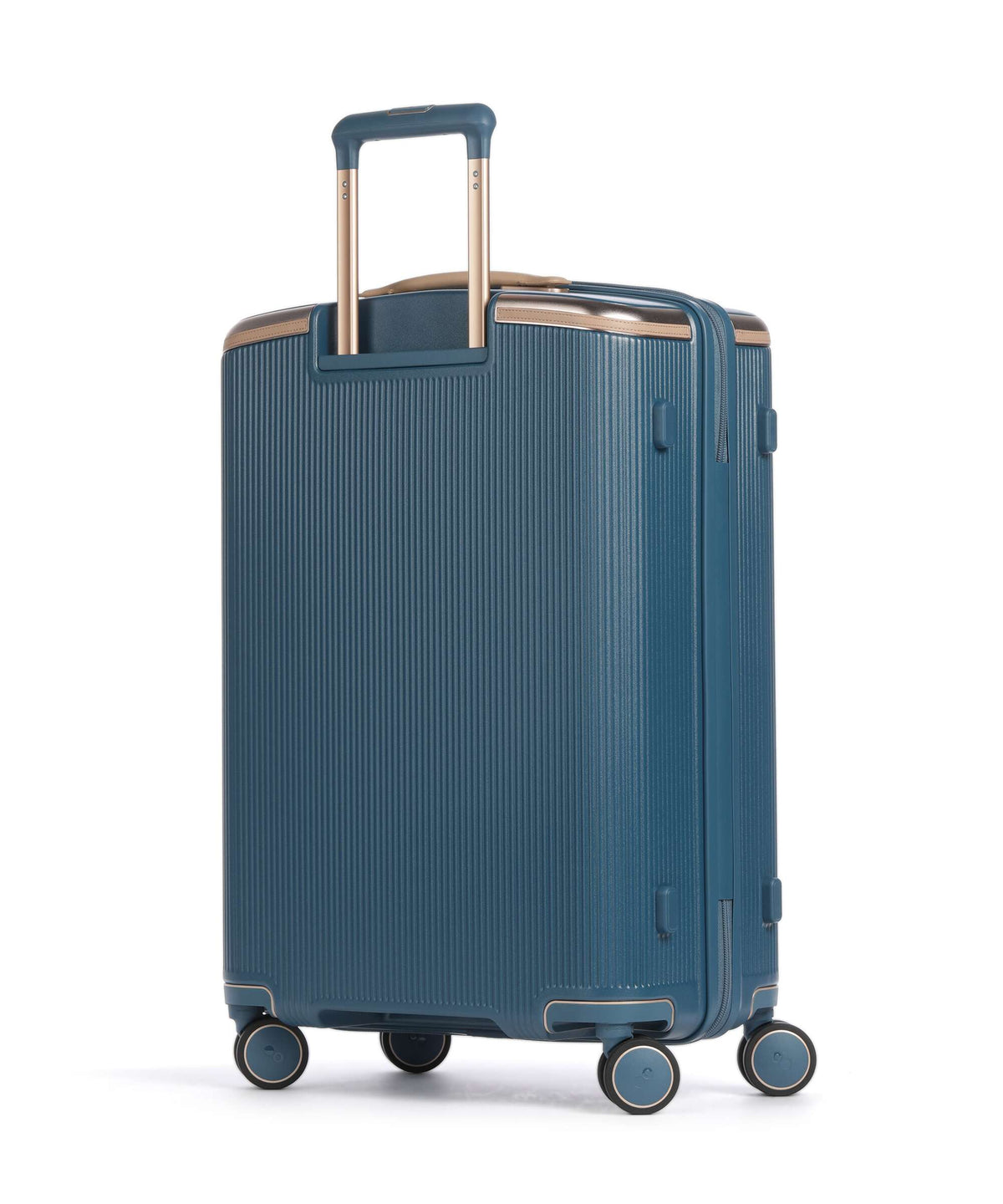 Echolac Dynasty VLX M Spinner (4 wheels) ocean indigo