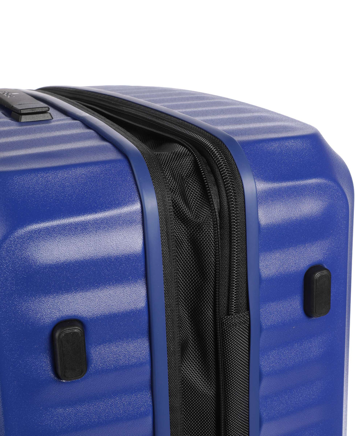 Echolac Oxygen L Spinner (4 wheels) blue