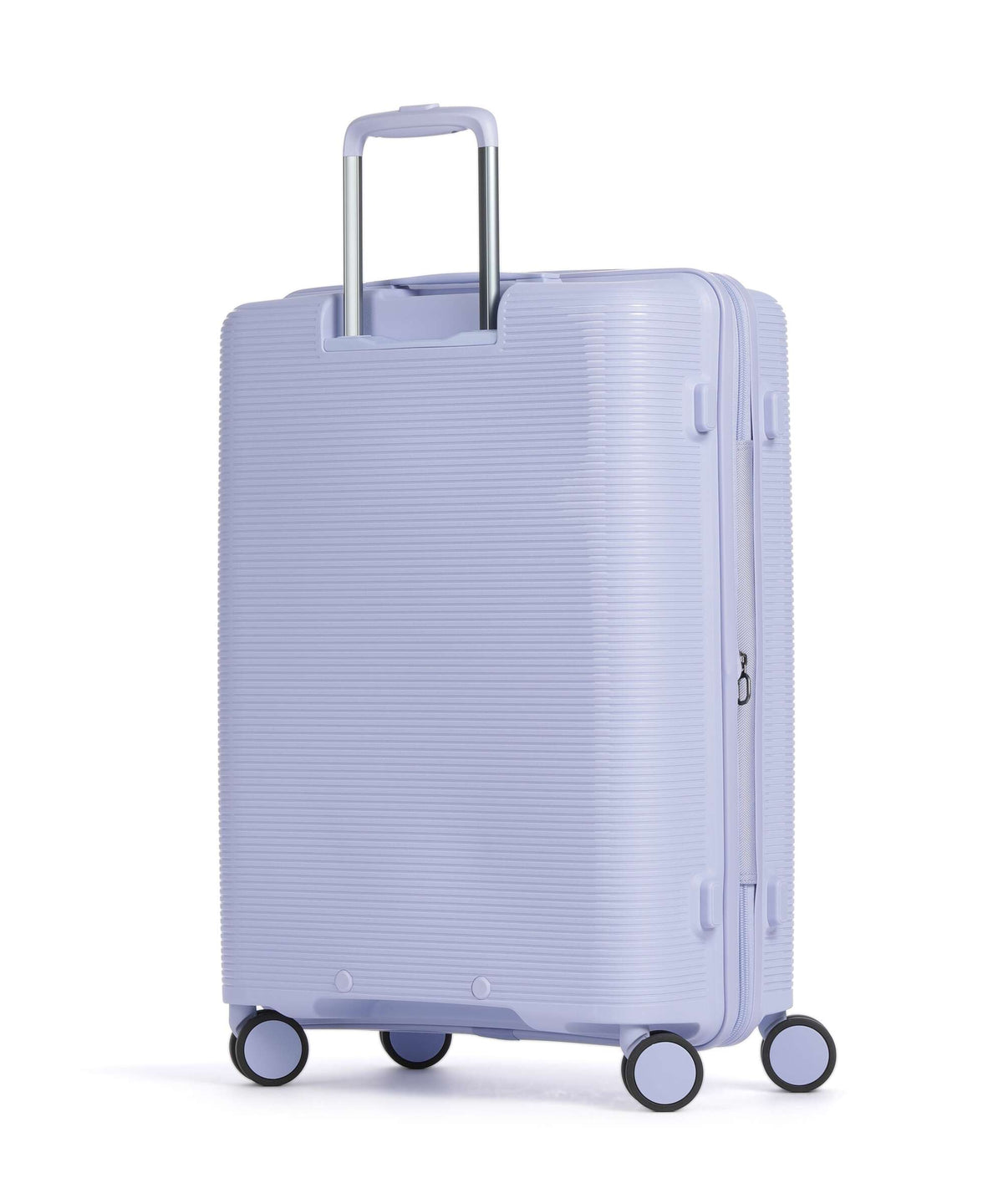 Echolac Forza M Spinner (4 wheels) deep lilac