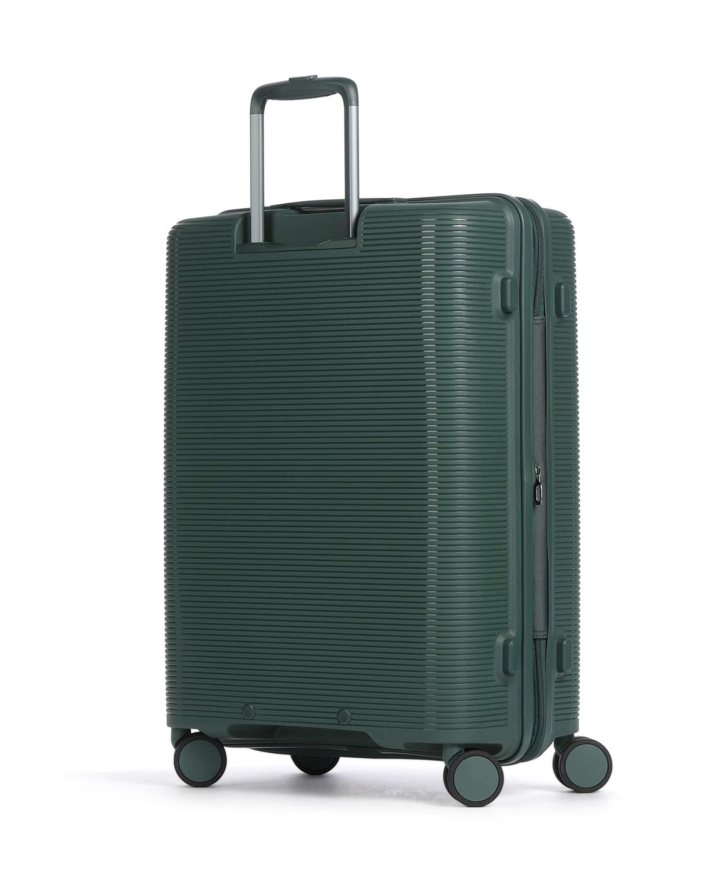 Echolac Forza M Spinner (4 wheels) pine green