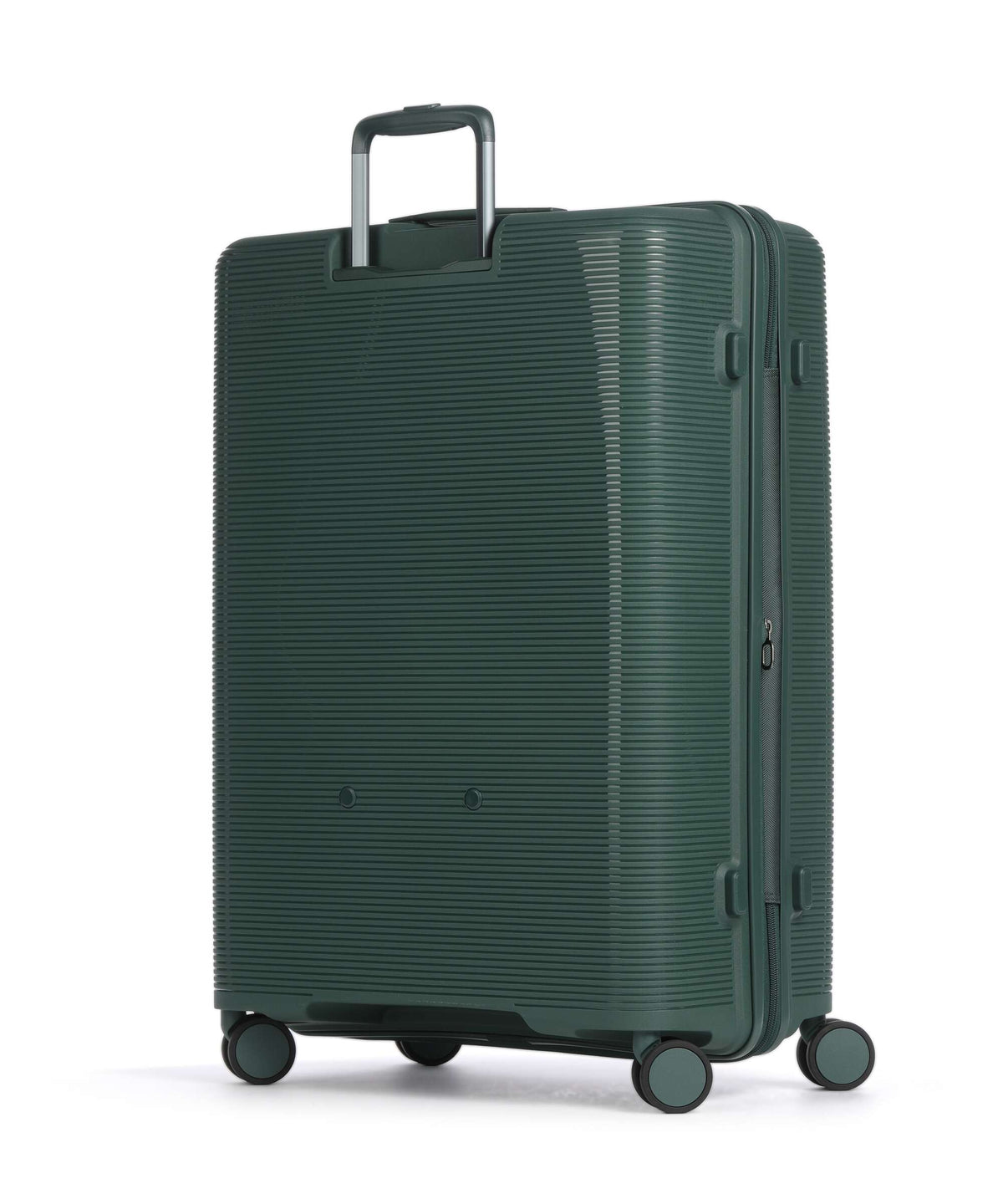 Echolac Forza L Spinner (4 wheels) pine green
