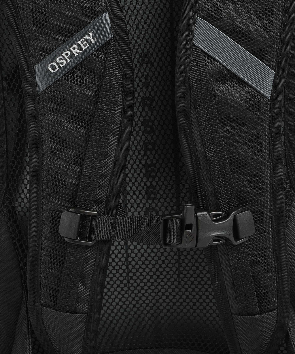 Osprey Hikelite 22 Hiking backpack silver lining