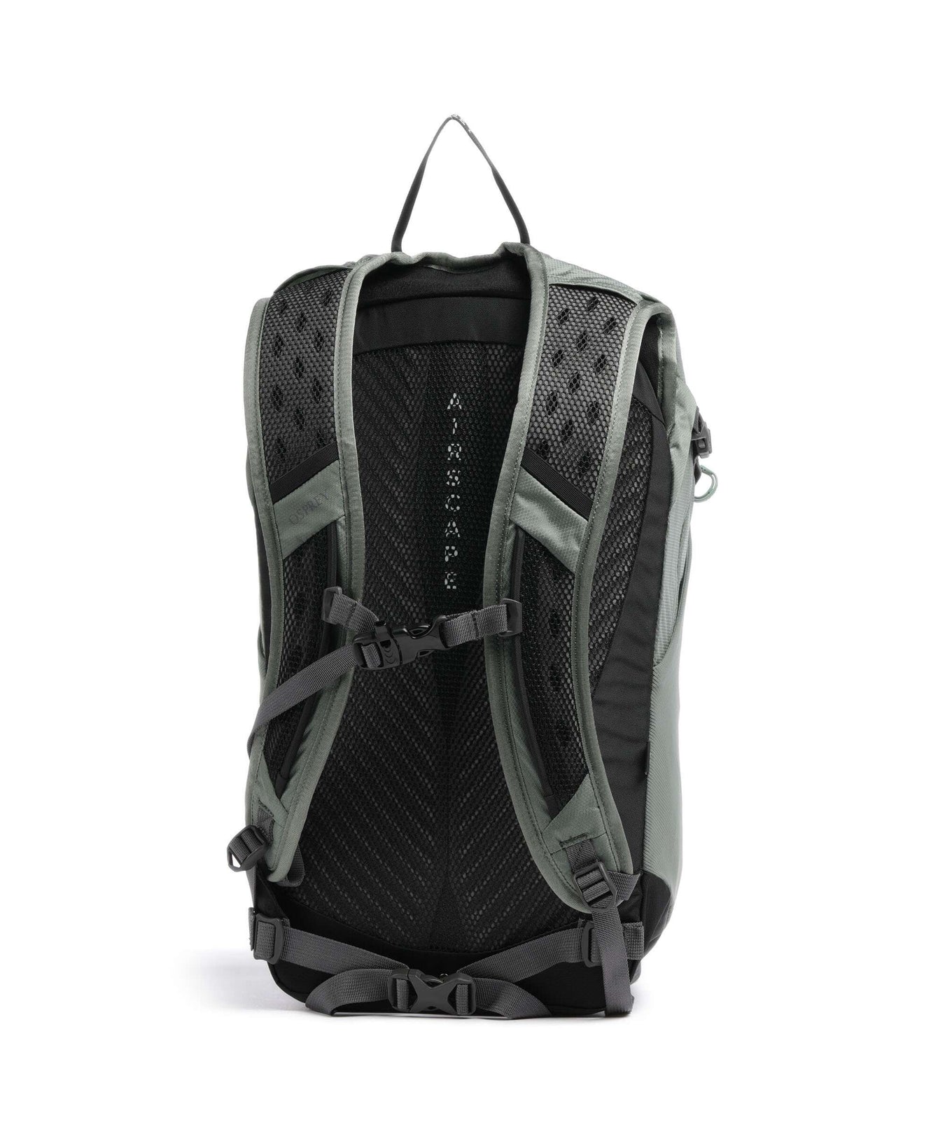Osprey Sportlite 20 Hiking backpack pine leaf green