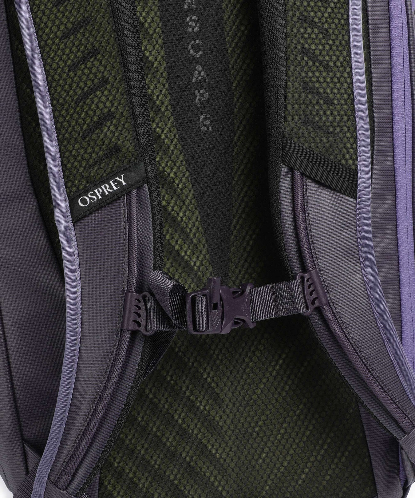 Osprey Transporter Rolltop backpack euphoria purple/purple ink