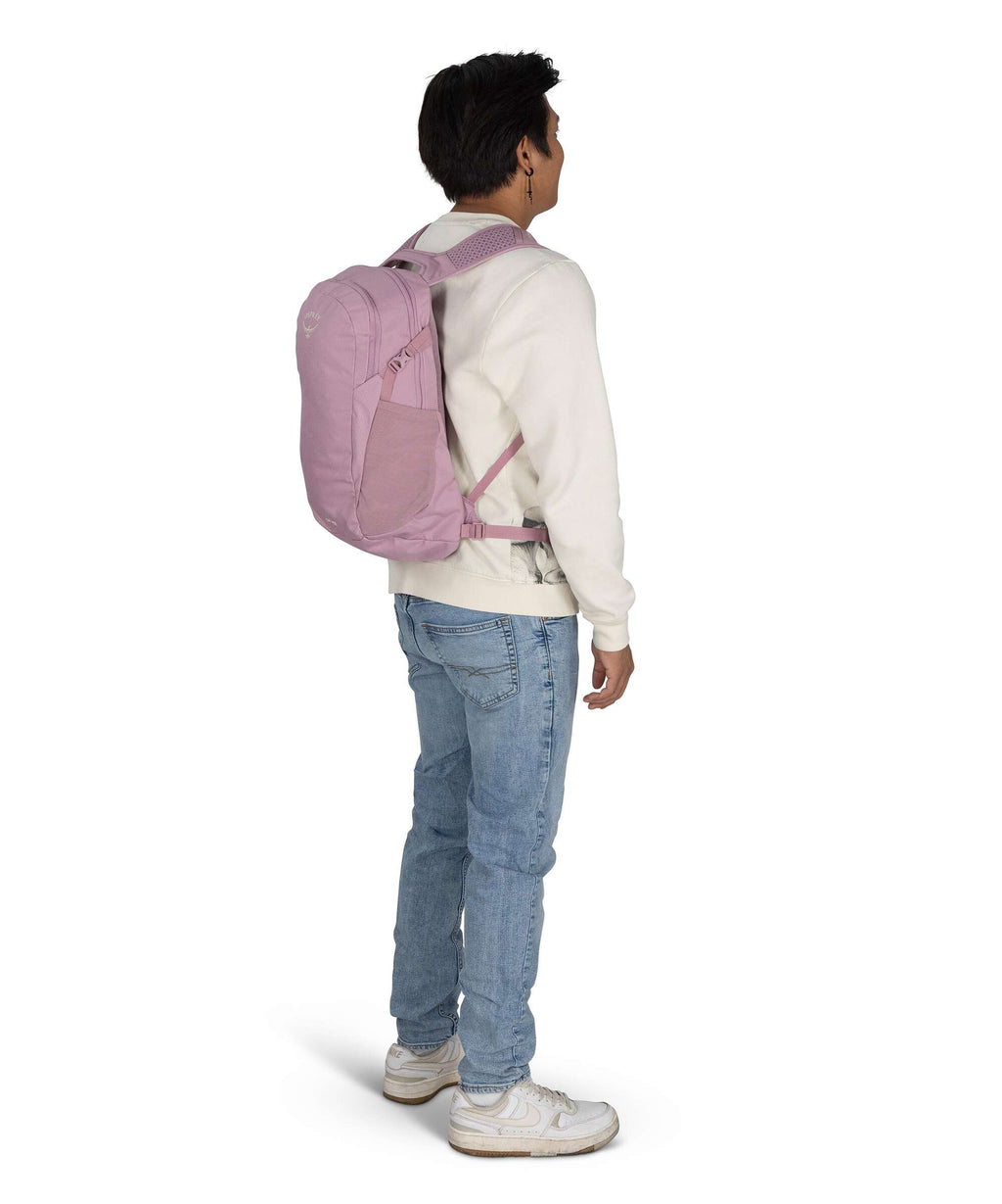 Osprey Daylite Backpack moody burgundy